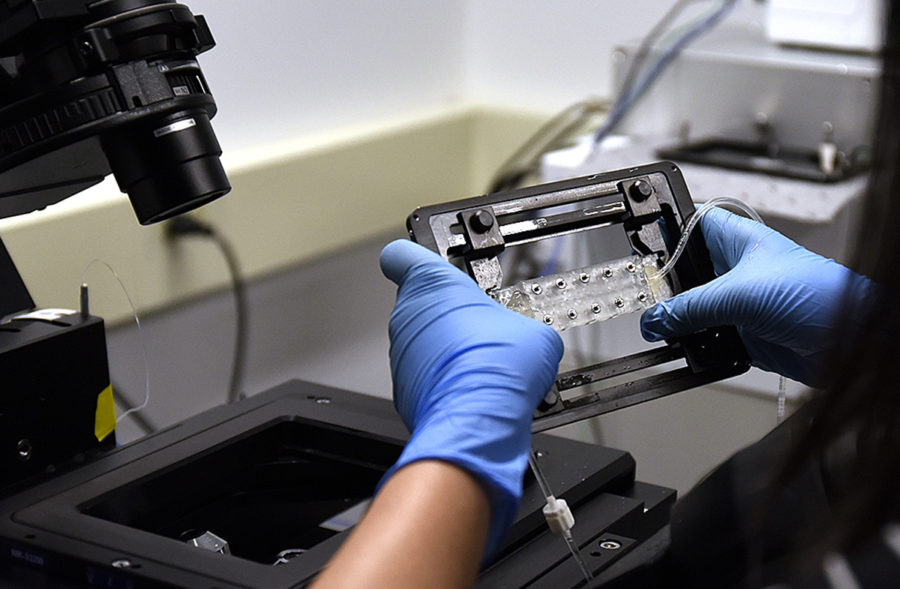 Audrey Shih's gloved hands handle a small plastic frame near a microscope