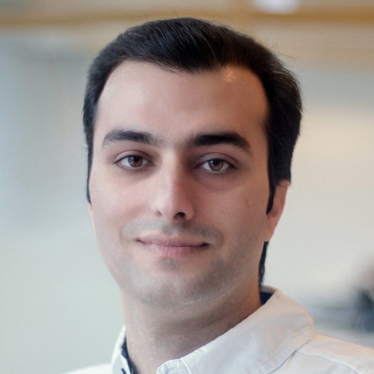 June 17 at 11 a.m.Jalalvand is a senior data scientist at Ghent University-imec, in Belgium, and a visiting postdoc at Plasma Control Group at Princeton University since 2020.

Jalalvand obtained his doctoral degree in 2015 in Artificial Intelligence and continued his career as a permanent postdoctoral researcher at IDLab-UGent-imec. Jalalvand has contributed to over 20 (inter-)national projects, leveraging fundamental and applied research in diverse data analysis directions such as pathological speech/image processing, radar signal processing, bioinformatics, anomaly detection, and predictive maintenance.

In 2020, he was awarded a 3-year special postdoctoral fellowship at UGent-BOF to investigate data-driven models for condition monitoring and plasma control in the magnetic confinement devices to produce controlled thermonuclear fusion power.