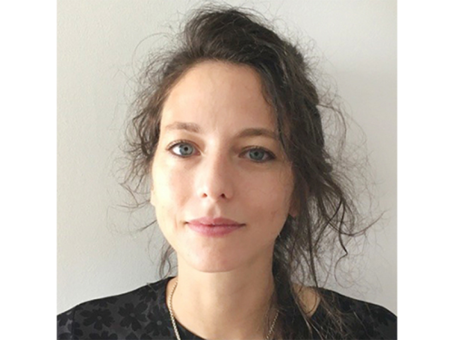 Summer Seminar Series: Sara Constantino