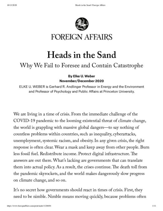 Recommended
Heads in the Sand: Why We Fail to Foresee and Contain Catastrophe Foreign Affairs

Seeing Is Believing: Understanding & Aiding Human Responses to Global Climate Change Daedalus

WG III contribution to the Sixth Assessment Report IPCC AR6 WGIII

Deep Decarbonization as a Risk Management Challenge RAND

Slides
Elke's slides

Robert's slides