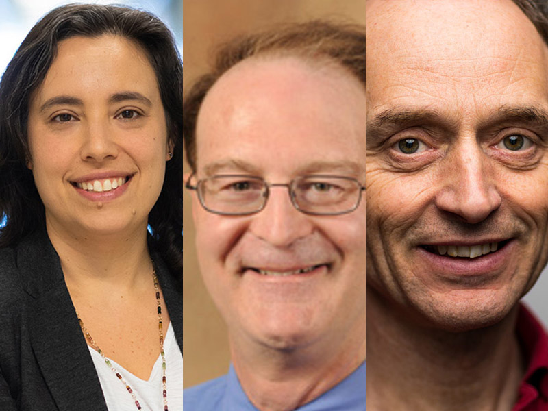 The Andlinger Center is kicking off its fall 2022 line-up. This seminar series will cover topics ranging from bioinspired light-escalated chemistry to catalytic nanoparticles to climate modeling.