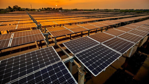 Solar panels at sunset