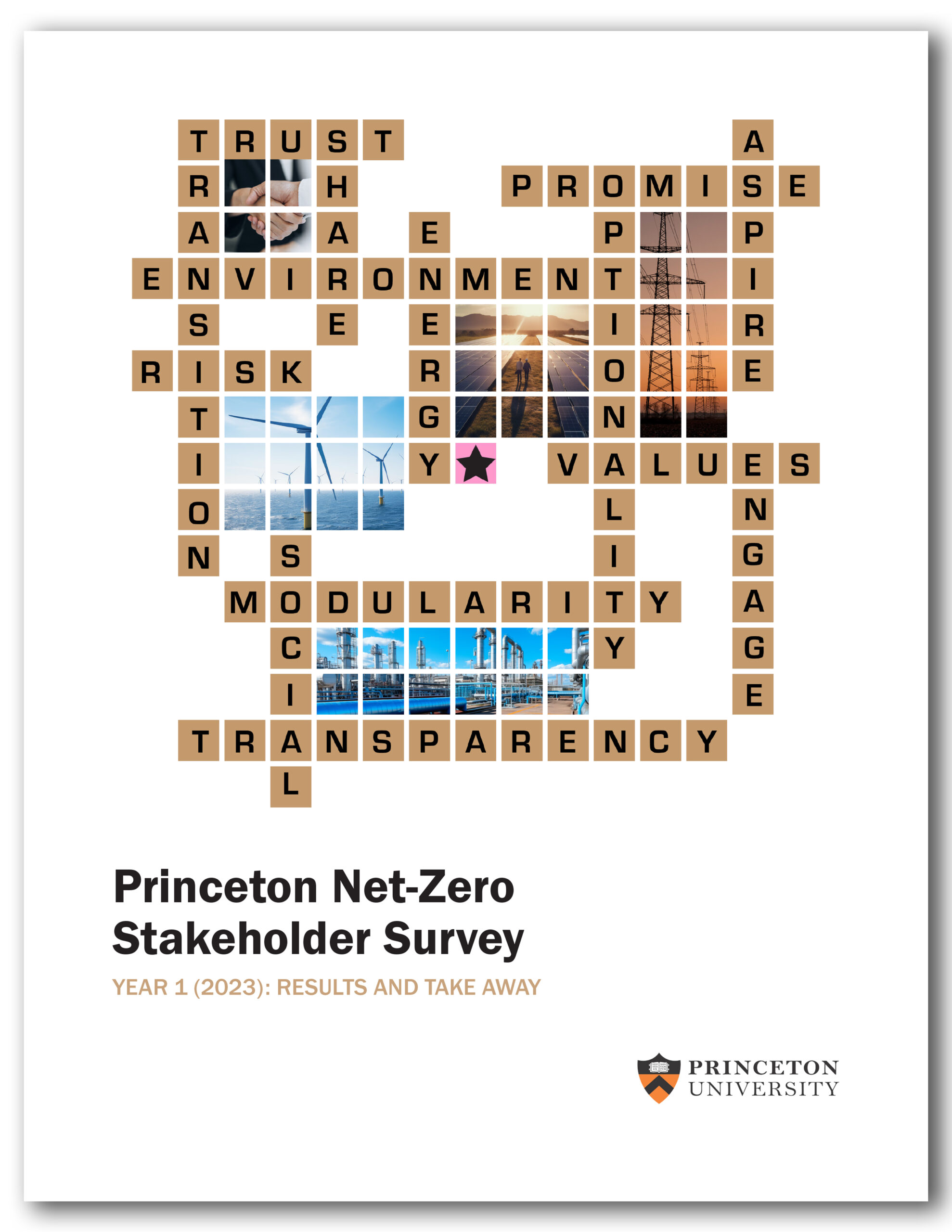 The cover page of the Princeton Net-Zero Stakeholder Survey report (cover design by Bumper DeJesus).