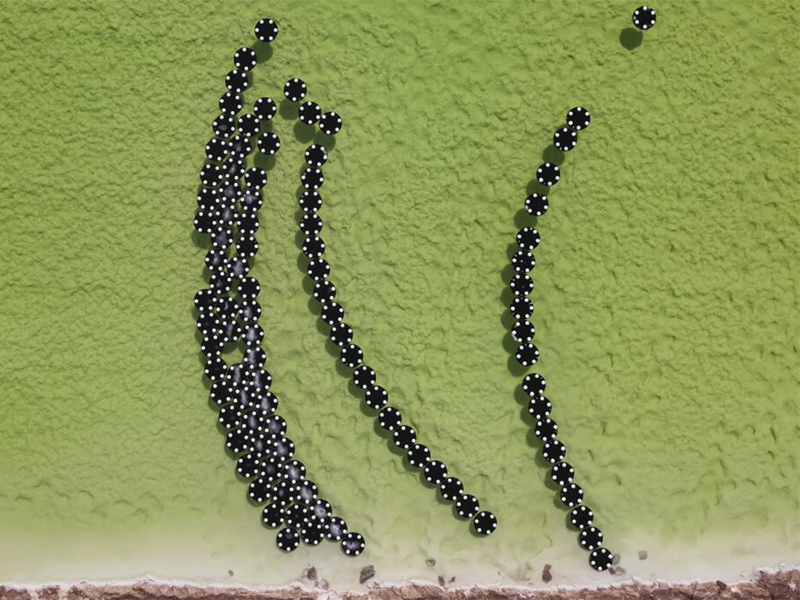Black and white discs extend outward on a curve against a background of green water
