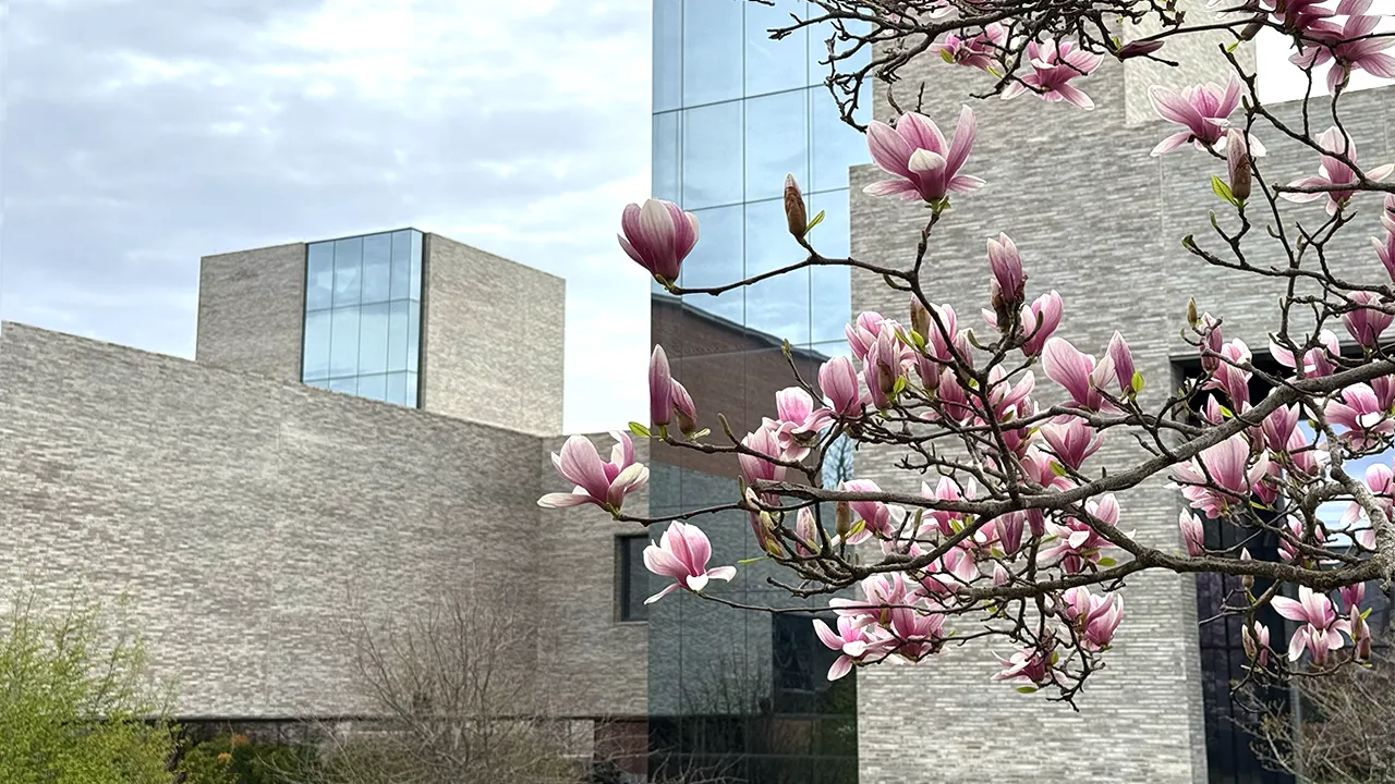 Button for Spring 2026 Energy Courses