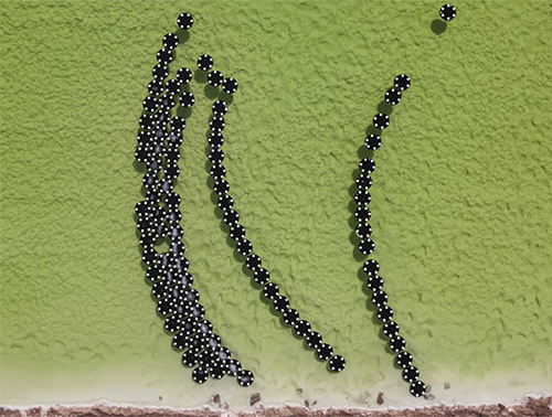 Rendering of black and white disks floating on green water