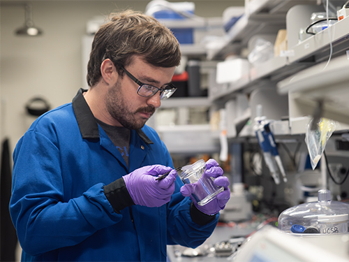 A researcher working in a lab