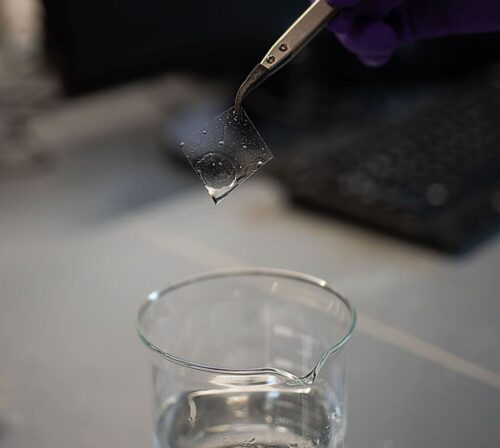 A pair of forceps grasping a square of transparent membrane, held over a beaker filled with clear liquid.