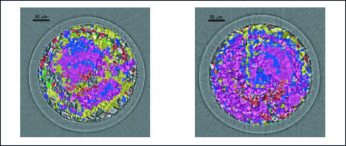 Two side-by-side microscopic images display colorful, pixelated circles with magenta, blue, yellow, and red patches, resembling cellular structures.