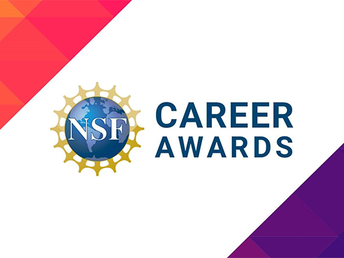 NSF Career Award graphic