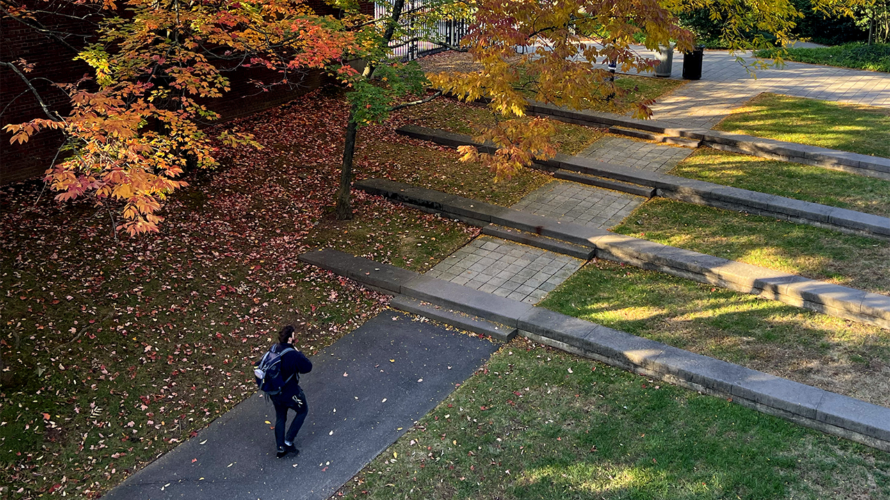 a person walks under a canopy of fall leaves on campus